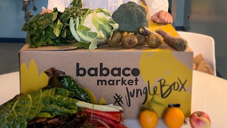 Babaco Market, la startup di frutta e verdura "brutta ma buona" da Milano punta all'estero: "Così combattiamo lo spreco alimentare"