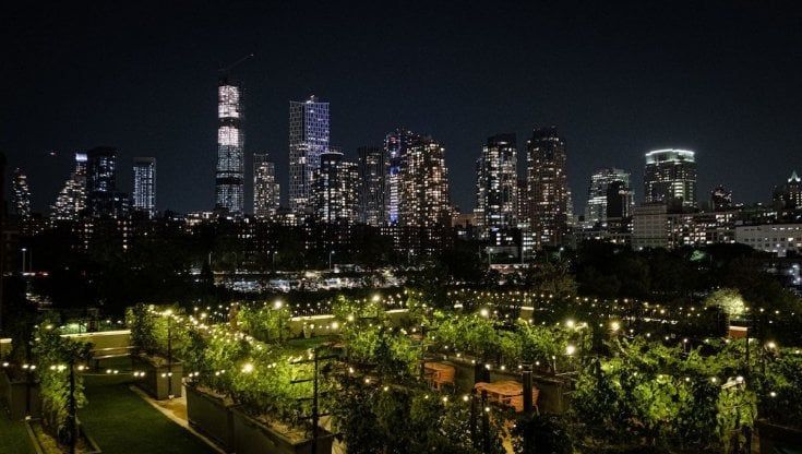 Vigne urbane: con New York e Catania l’associazione diventa mondiale