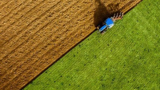 Ismea, l’agroalimentare tricolore tiene nonostante le mille difficoltà