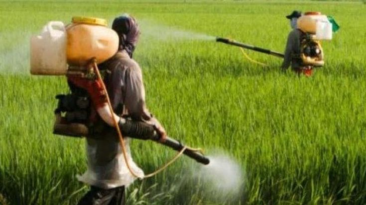 Pesticidi, un’epidemia invisibile: quasi un agricoltore su due ne viene avvelenato ogni anno