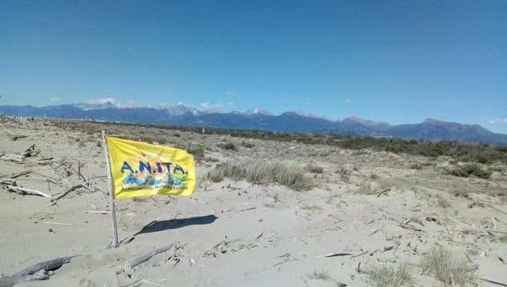 Viareggio, la Lecciona apre ai naturisti dal 5 giugno
