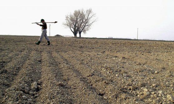 La Toscana insiste sul bio, stanziati 129 milioni