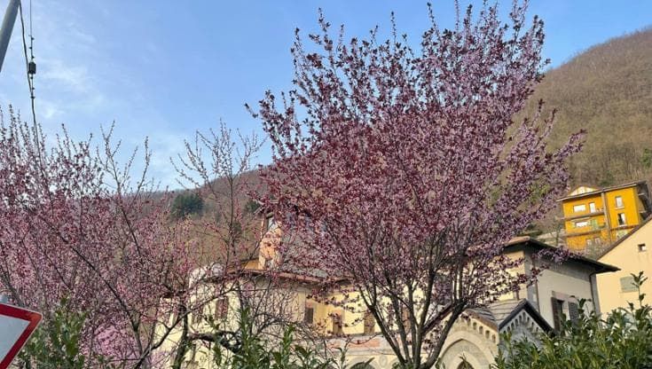 “Scelgo di fare il medico in Appennino perché qui le persone non si affidano a Google per curarsi”