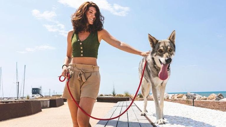 Quando il cane diventa un “personal trainer”: la nuova frontiera del fitness all’aria aperta