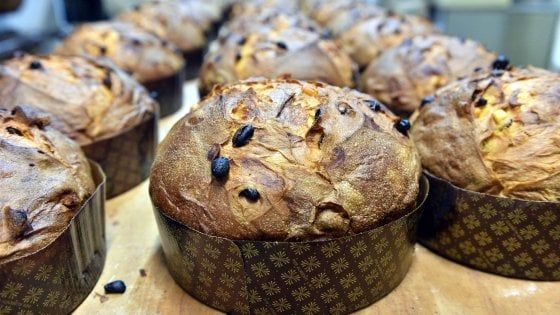 Pandori e panettoni sotto esame: come riconoscere la qualità