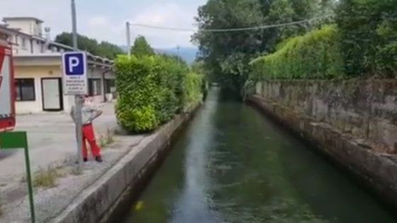 Vicenza, bimbo di 3 anni si allontana dalla mamma: morto in un canale 