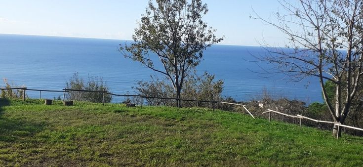 Sostenere l'agricoltura puntando sulle persone con fragilità: la Liguria riparte dalla Terra madre