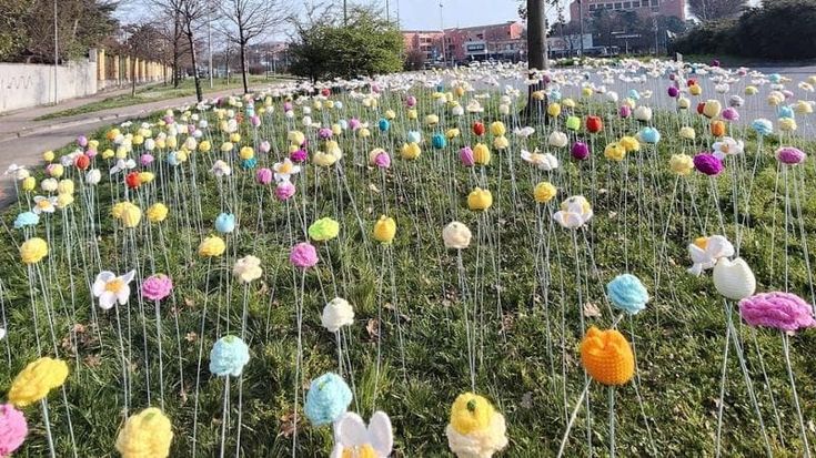 Monza, una distesa di 700 fiori di lana realizzati all’uncinetto per la Giornata della donna
