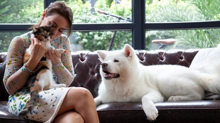 Cresce il mercato del pet care: i trend per il 2025 tra sostenibilità e tecnologica