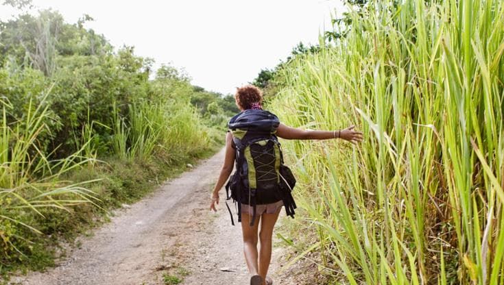 Perché non devi riportare semi e piantine dalle vacanze
