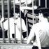 Le brigatiste irriducibili che non vogliono uscire dal carcere