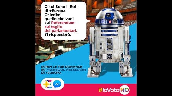 Referendum, dubbi o domande? Su Facebook l'help line di Più Europa
