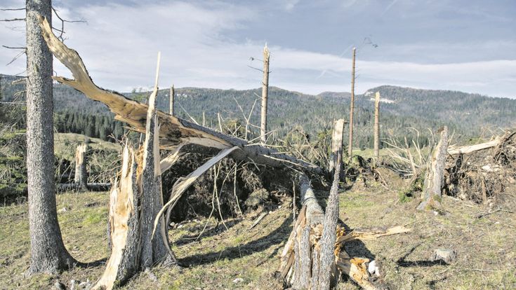 La Terra guasta: le ferite del clima