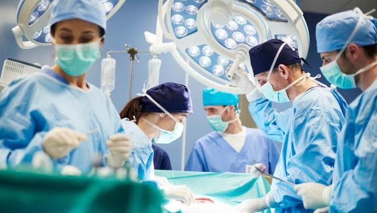 Xenotrapianti, un uomo con diabete vive 9 mesi con rene di maiale prima del trapianto umano