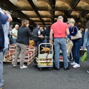 Ai mercati generali di Milano la spesa nei carrelli rubati, 8 denunce