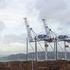 Export italiano fermo a ottobre, cala il surplus commerciale