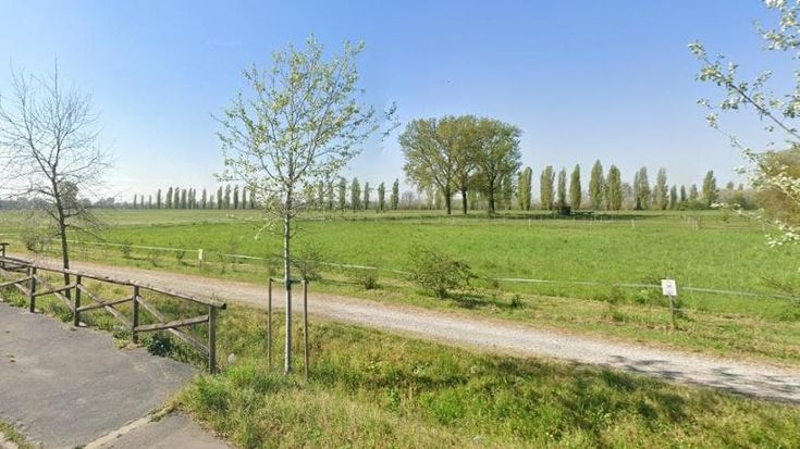 “Discarica abusiva su un’area comunale”: chiuse le indagini per un’imprenditrice di pompe funebri