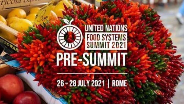 Vertice ONU sui Sistemi Alimentari, proteste per la presenza delle multinazionali, mentre 2,37 miliardi di persone continuano ad avere fame