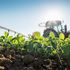 Stranieri indispensabili per l'agricoltura italiana: oltre 12 mila imprese