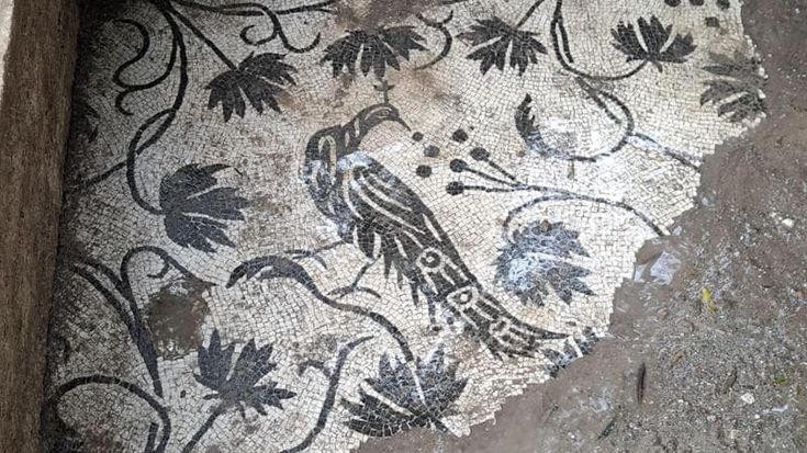 L’ultimo tesoro dell’Appia Antica: dagli scavi spunta il pavone dell’immortalità