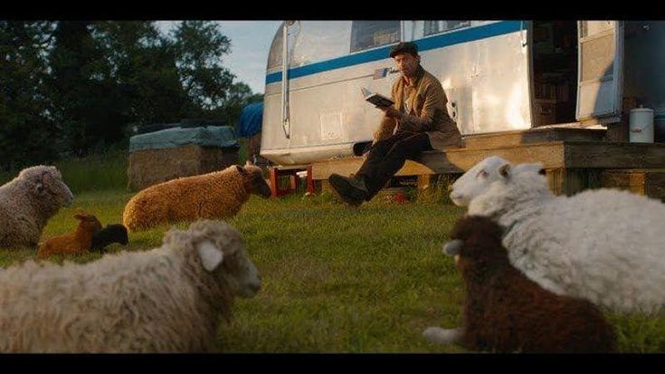 Hugh Jackman balla con le pecore: “Un giallo tra il maialino Babe e Knives Out”