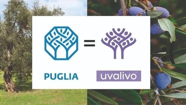 Puglia, petizione contro il nuovo logo della Regione: "Troppo simile ad altre aziende, va ritirato"