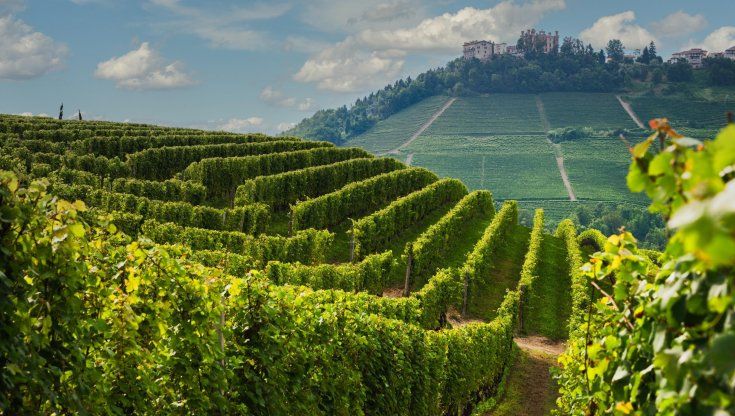 Il guru del vino naturale: “Le mie colline sono ridotte a Langaland”