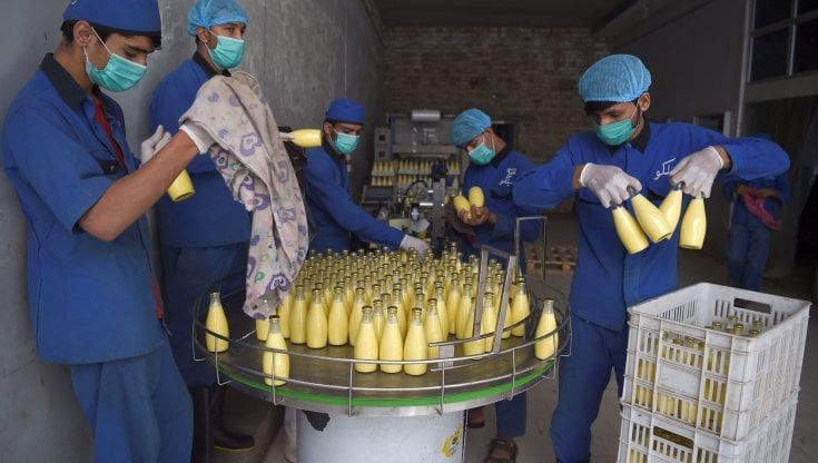 Afghanistan, la speranza si nutre di latte
