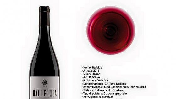 La bottiglia: il musicista polacco che fa il vino in Sicilia