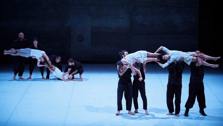 'Möbius', la natura in movimento diventa acrobazia
