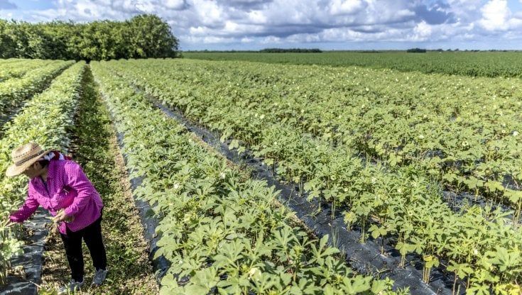 Global Slavery Index 2023: sono 50 milioni le persone che vivono in schiavitù