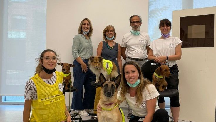 Allo Ieo arrivano i cani-tampone: fiutano i positivi asintomatici