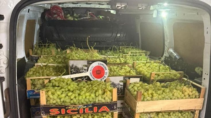 Porta quintali di uva al mercato generale di Bari, ma è un carico rubato: denunciato uomo di 35 anni