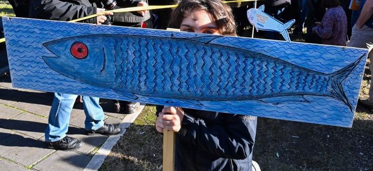 Elezioni regionali 2020, le Sardine si allontanano dai riflettori: "Non ci vedrete in Tv o sui giornali"
