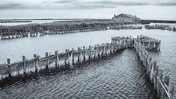 Diventate fotoreporter delle bellezze dell'Emilia-Romagna: torna Wiki loves monuments