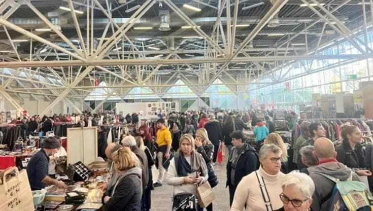 Vintage, elettronica, yoga, antiquariato, fumetti, animali esotici: Wow, la fiera dove c’è tutto
