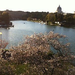 Roma, Eur, tre giorni di arte e street food per i 2770 anni della Capitale