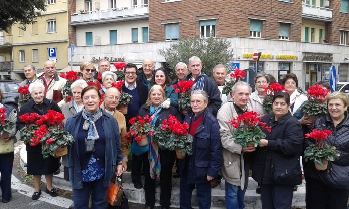 Dopo il furto, tornano i ciclamini nell'aiuola di piazza Giovine Italia