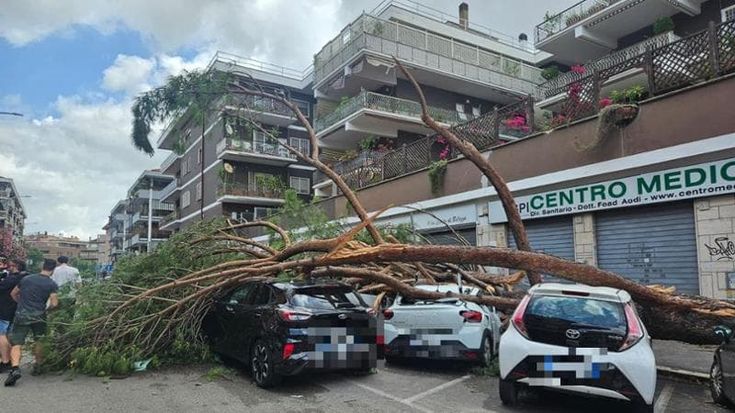 Il maltempo mette in ginocchio Roma, 60 alberi caduti: un ferito lieve. Traffico paralizzato