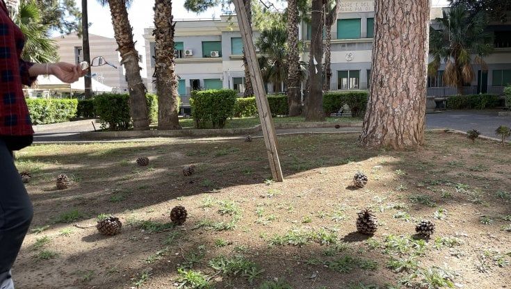 Via Papireto, il giardino negato ai bambini dell’asilo Maria Pia di Savoia
