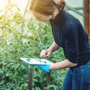 I giovani toscani riscoprono la terra. Con la crisi nascono imprese green e innovative