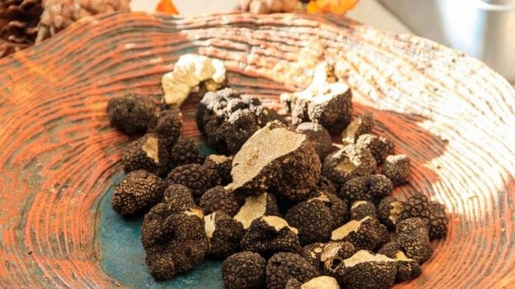 La Sicilia è terra di tartufi