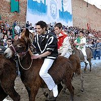 Il palio dei somari