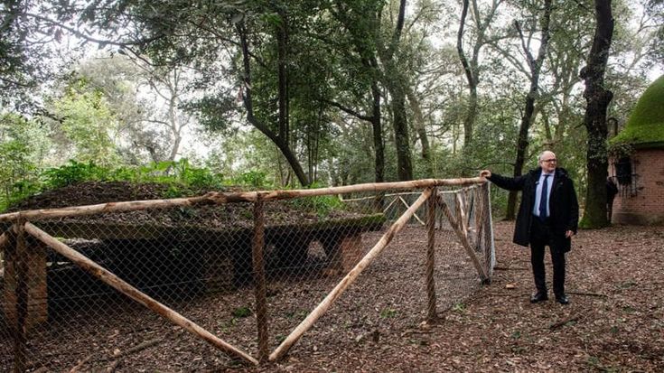Riapre lo storico bunker dei Savoia a Villa Ada, rifugio antiaereo della famiglia reale