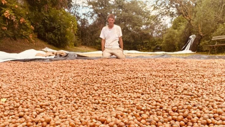 Dalle Ferrari del padre alle nocciole: Luca Pininfarina e l’arte di accudire la terra