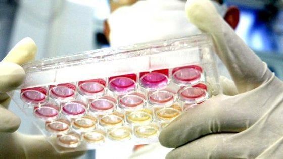  Coronavirus, i sindaci dell’Agro aversano chiudono le scuole da mercoledì a sabato