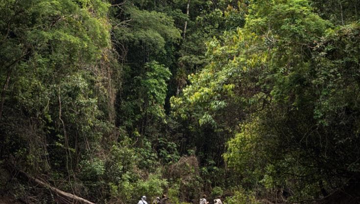 Unesco, grazie alle riserve della Biosfera protetti 7 mila chilometri quadrati di Amazzonia
