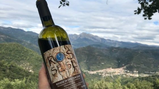 Dolceacqua: quegli artigiani del vino tra passione e flagelli in vigna