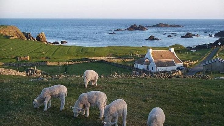 Scozia, il sogno delle isole Shetland: una rete di tunnel sottomarini per dimenticare i traghetti