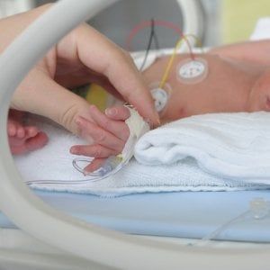 Bologna, il concerto per i neonati prematuri